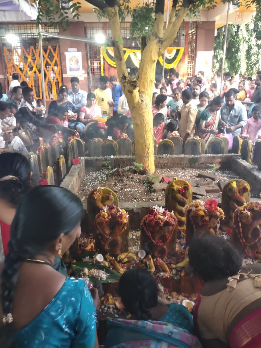 భక్తులతో కిటకిటలాడిన నాగదేవత ఆలయం 