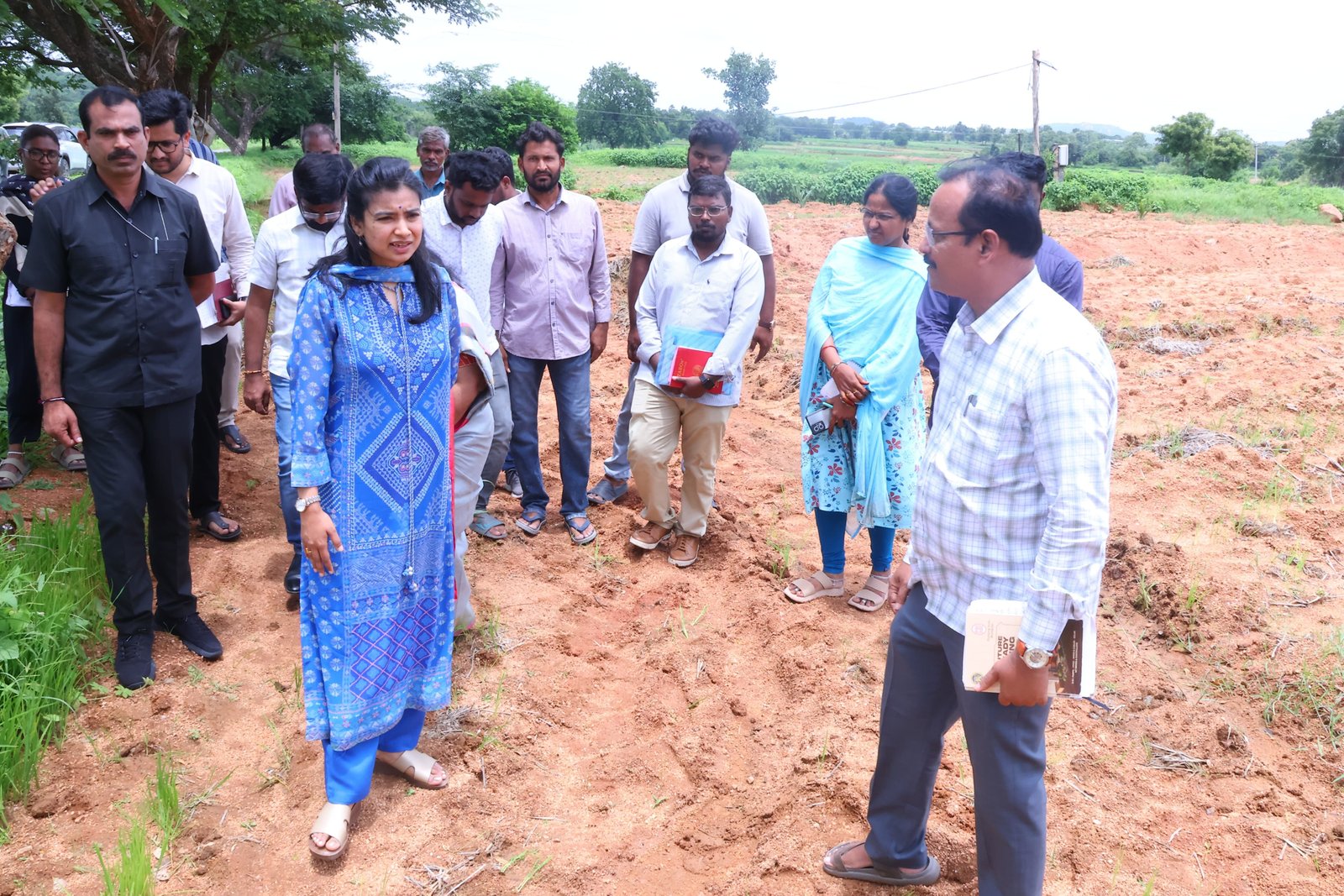 వరి నుంచి ఆయిల్ పామ్ వైపు రైతుల అడుగులు... 